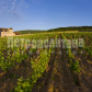 /bitrix/cache/watermarked/61/60504_277_155_2_1_15_100.jpg