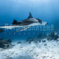 /bitrix/cache/watermarked/62/61391_277_155_2_1_15_100.jpg