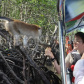 /bitrix/cache/watermarked/72/71910_278_155_2_1_15_100.jpg