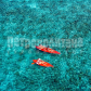 /bitrix/cache/watermarked/75/74217_277_155_2_1_15_100.jpg