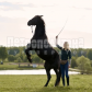 /bitrix/cache/watermarked/77/76455_277_155_2_1_15_100.jpg