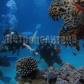 /bitrix/cache/watermarked/77/76818_277_155_2_1_15_100.jpg