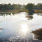 /bitrix/cache/watermarked/81/80072_277_155_2_1_15_100.jpg